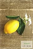 【雑貨/フェイク】 Lemon♪レモン(花つき） 【造花】
