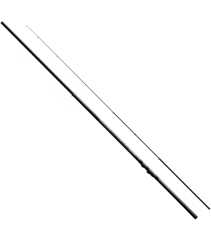 Amazon | シマノ(SHIMANO) ロッド アオリスタ 2021 M500SI 220g ヤエン
