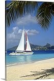 Larsen Collingeプレミアムシックラップキャンバス壁アート印刷題名Saint Vincent and the Grenadines、Caribbean、Palm Island、Catama
