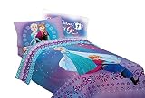 Disney Frozen Light Up The Sky Twin/Full Comforter [並行輸入品]