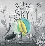 It Fell From The Sky