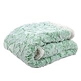 Tadpoles Cut Fur Baby Blanket with Sherpa Backing, Green by Tadpoles [並行輸入品]