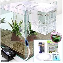 美品 セット販売 エーハイム キャベティ サテライト アクアリウム