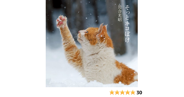 そっとネコぼけ 岩合 光昭 本 通販 Amazon