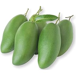 【 沖縄 】摘果マンゴー 約10.3kg 【raw mango】 Amazon.co.jp: MDSTORE 沖縄青切りマンゴー 摘果マンゴー Green Raw