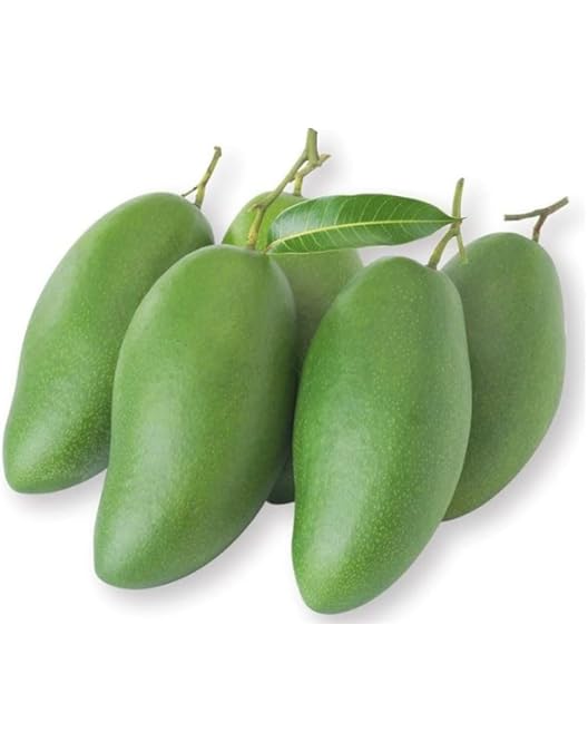 Amazon.co.jp: MDSTORE ベトナム産ヒカマ・Vietnam Fresh Jikama・Cu