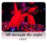 All through the night