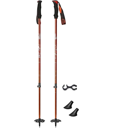 Amazon.co.jp: ブラックダイヤモンド ストック フリックロックポール