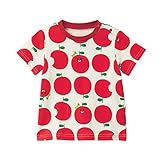 【子供服・通園・通学】半袖Ｔシャツ しましまぐるぐるシリーズ りんご サイズ：８０