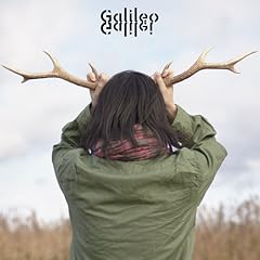 ��̑��ӂƎl�t�̃N���[�o�[ / Galileo Galilei