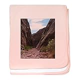 CafePress – Capitol Reef – スーパーソフトベビー毛布、新生児おくるみ ピンク 07012004616832E