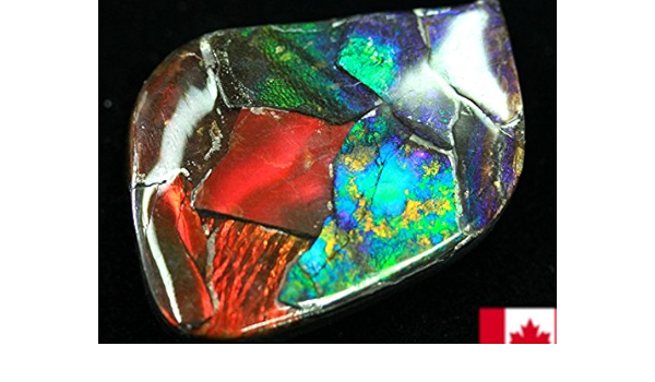 Amazon 天然石の島田商事 超激レア 虹色に輝くイリデッセンスアンモナイト化石宝石7000万年の奇跡カナダ産 宝石ルース 裸石 アンモライト Ammolite 菊石 約10g 1個 天然石 パワーストーン Ac ルースストーン 通販