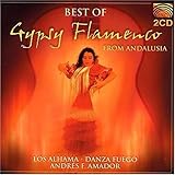 Best of Gypsy Flamenco Andalusia