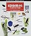 水辺の虫の飼いかた―ゲンゴロウ・タガメ・ヤゴほか (虫の飼いかた・観察のしかた)