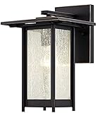 Westinghouse 6203900 Clarissa 1 Light Outdoor Wall Lantern, Oil Rubbed Bronze [並行輸入品]