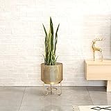 オープンワークの鉄花植物のディスプレイスタンドゴールデンルーフミニマリスト芸術のデザインあなたの屋内屋外のリビングルーム (サイズ さいず : 30 * 43)