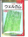 ウェルカム　サカタのアスパラ種です