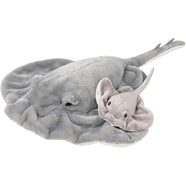 sting ray teddy