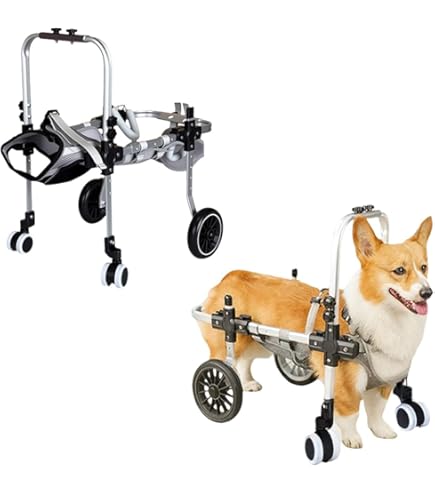 Amazon.co.jp: 犬 車椅子 前足をサポートする4輪犬用車椅子、 前足負傷