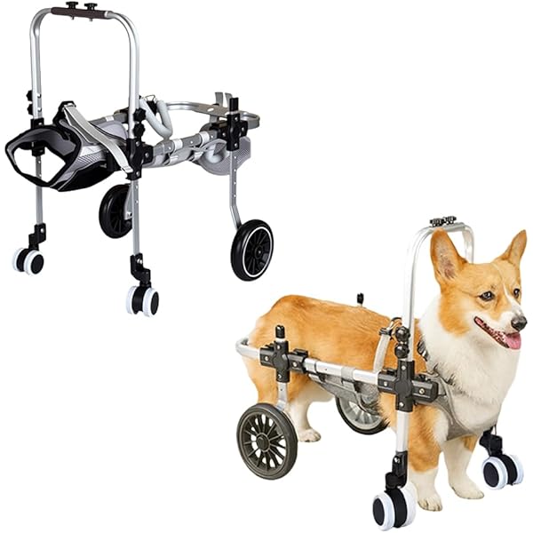 Nadaページ■中〜大型犬用4輪車椅子 　+オプション ペット用車椅子 4輪 大型犬 全身サポート 歩行器 歩行補助