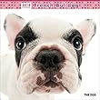 フレンチ・ブルドッグ 2018年 カレンダー 壁掛け CL-1119