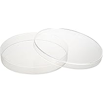 「ジャスパー」　　　　　　　大型シャーレ　とろとろガラス Amazon | T Tooyful 10x 高ホウケイ酸ガラス シャーレ 蓋付き