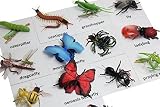 [キュリアスマインド]Curious Minds Busy Bags Montessori Insect Animal Match Cards and Figurines. Nomenclature 