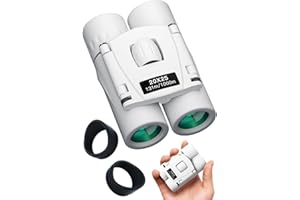 双眼鏡【IFデザイン賞受賞】双眼鏡 ライブ用 20倍 防振 オペラグラス 天空席 ディテールを明瞭に捉えます【SPIE光学技術 + 物理技術防振】広角視野 人間工学に基づく設計&アイカップ クリアで安定した視覚体験 超軽量 コンパクト 手の平サイズ