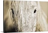 スコット・Stulbergプレミアムシックラップキャンバス壁アート印刷題名Close Up Of Aカマルグ馬、Arles、France 24" x 16" ah0003-5040_24_24x16_