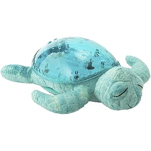 Cloud B クラウドビー アクアタートル タートル カメ [並行輸入品]