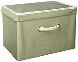 山善(YAMAZEN) 収納ボックス おしゃれ フタ付き グリーン YTCR-1PF(GR)