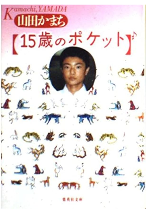 Amazon.co.jp: 17歳のポケット (集英社文庫) : 山田 かまち: Japanese