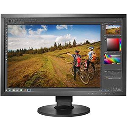 動作品 EIZO CS2420 ColorEdge 24インチモニター CS2420 24.1