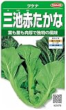 サカタのタネ 実咲野菜2878 三池赤たかな ツケナ 00922878