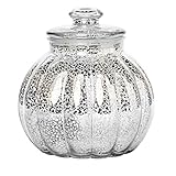 BrylanehomeラウンドTillian Jar シルバー 02060900026mk0~0