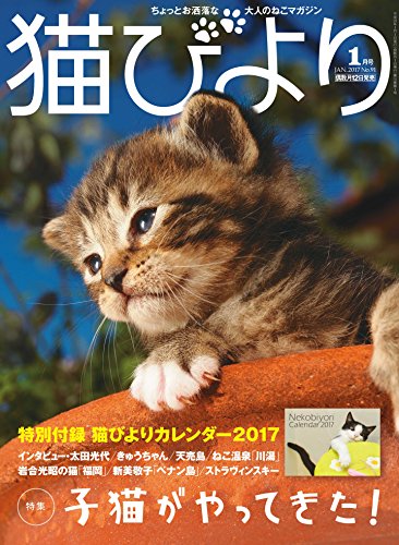 猫びより 2017年 01 月号