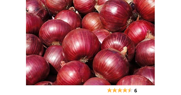 Amazon 赤玉ねぎ 国産 アーリーレッド ｍ ｌ ｌ大ｻｲｽ以上 １ｋg 赤玉葱 赤玉ネギ 赤たまねぎ 旬の北海道クラブ 食品 飲料 お酒 通販