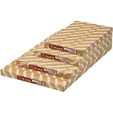 ケント紙 ニューケンパス 厚口 １００枚 Ｂ２（７２８×５１５mm） 【Ｂ５０２】