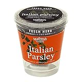 聖新陶芸 フレッシュハーブ イタリアンパセリ