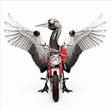 ��΂�(DVD�t)