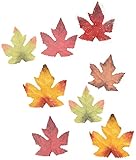 Autumn maple leaves 50 ctパック