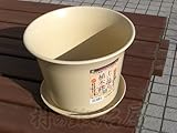 竹の繊維で作った 植木鉢+鉢皿 (大) BC-0254&BCP-022