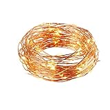 ICOCO Outdoor Starry Strings Light 3 Copper Wires 33 Feet 100 LEDs Wall Charger Warm White Christmas