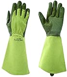 東和コーポレーション WEST COUNTY ROSE West County Rose (ウェストカウンティーローズ) 432 モス XS