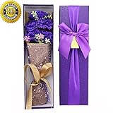 Le seul 5カーネーション、最高の母の日の贈り物、あなたのお母さんの愛の象徴(パープル)