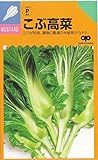 【種子】こぶ高菜（タカナ） 小袋