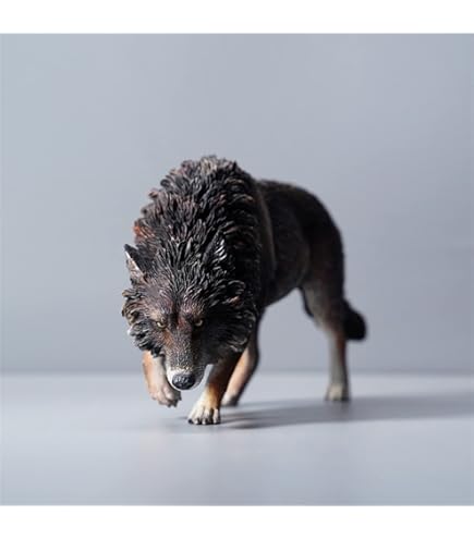 Amazon.co.jp: Mr.Z 1/6 サイズ モンキー サル 猿 パイレーツ 海賊