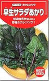 ほうれん草種子・早生サラダあかり（10ml）