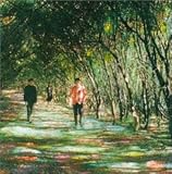 ���z�̐��E