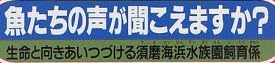 本「魚たちの声が聞こえますか?」で使われている【ゴナ】